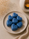 WAX MELT NOCHE ENCANTADA